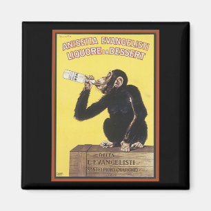 Anisetta Evangelisti Vintage Liqueur et aimant pub