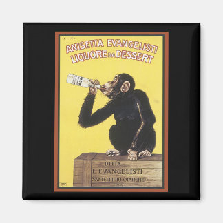 Anisetta Evangelisti Vintage Liqueur et aimant pub