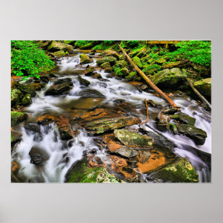 Anna Ruby Tumbles, Poster