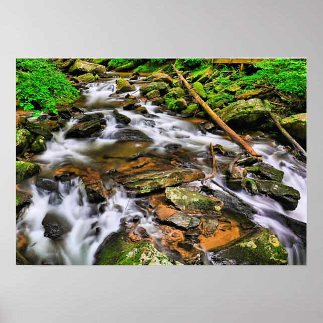 Anna Ruby Tumbles, Poster (Devant)