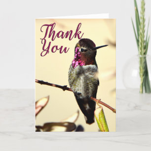 Anna's Hummingbird Photo Carte de remerciements