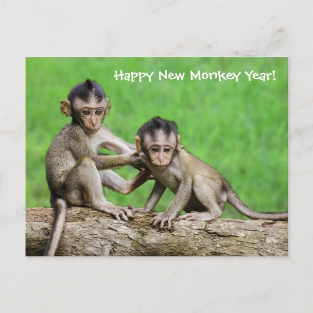 Année De La Carte Postale Fire Monkey (Devant)