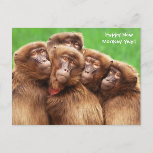 Année De La Carte Postale Fire Monkey