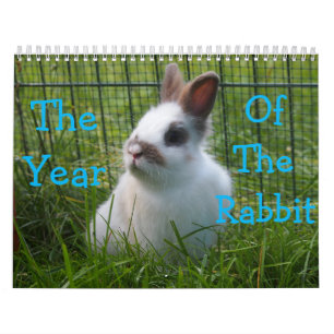 Année Du Calendrier Du Lapin
