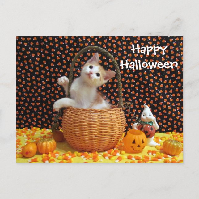 Annie's Sweet Halloween Chat / Kitten Carte postal (Devant)