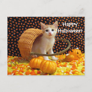 Annie's Sweet Halloween Chat / Kitten Carte postal