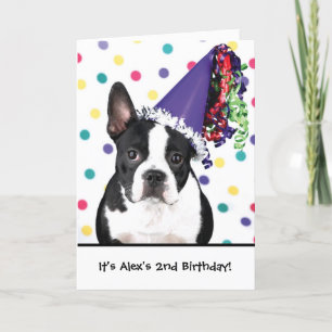 Anniversaire Boston terrier invitations personnali