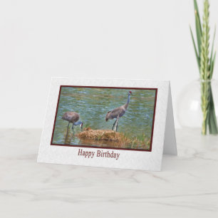 Anniversaire, carte de famille de grue de Sandhill