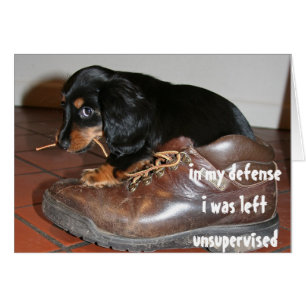 Anniversaire De Chien Chien Chien Chien Chien Chie