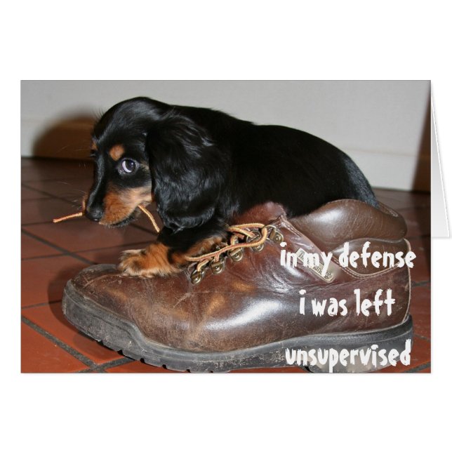 Anniversaire De Chien Chien Chien Chien Chien Chie (Devant horizontal)