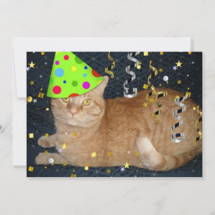 Anniversaire de fête Orange Tabby Invitation de ch