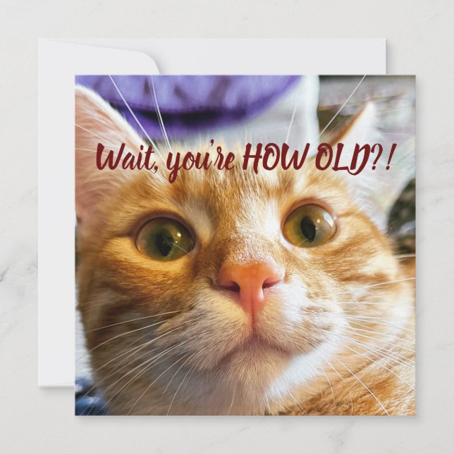 Anniversaire drôle de chat (Devant)