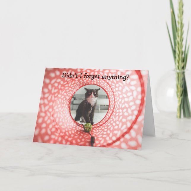 Anniversaire en retard? Carte amusante avec chat (Devant)