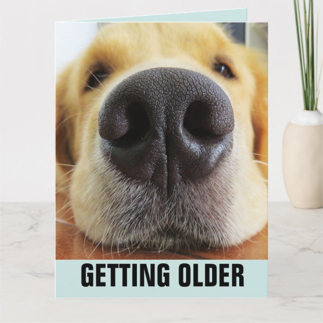 ANNIVERSAIRE FUNNY DEVENIR CHIEN PLUS ÂGÉ CARTE DE (Devant)