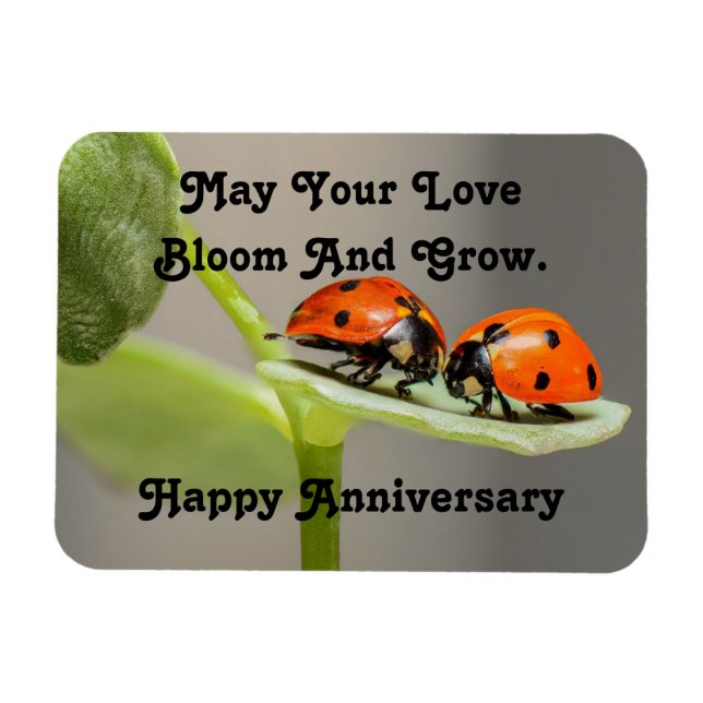 Anniversaire Ladybugs Photo Magnet (Horizontal)