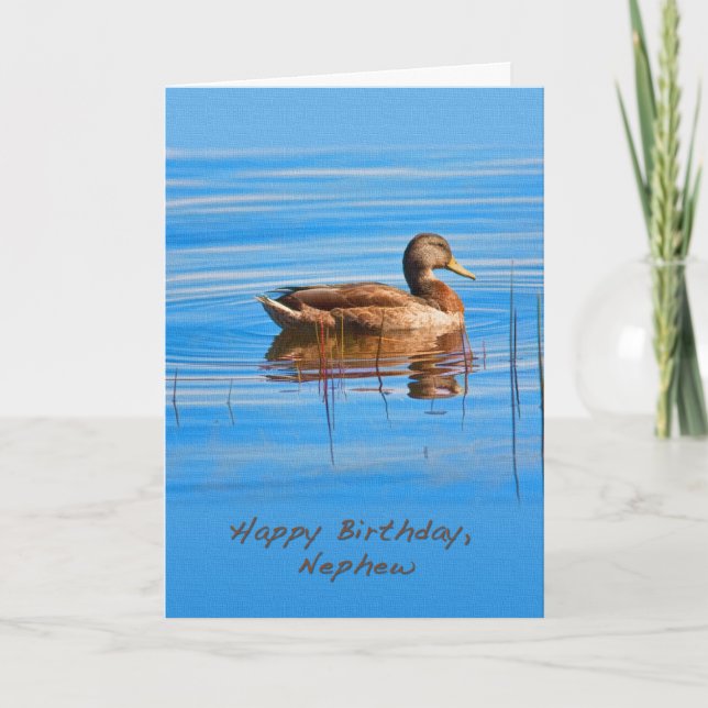 Anniversaire, neveu, carte de canard de Mallard (Devant)