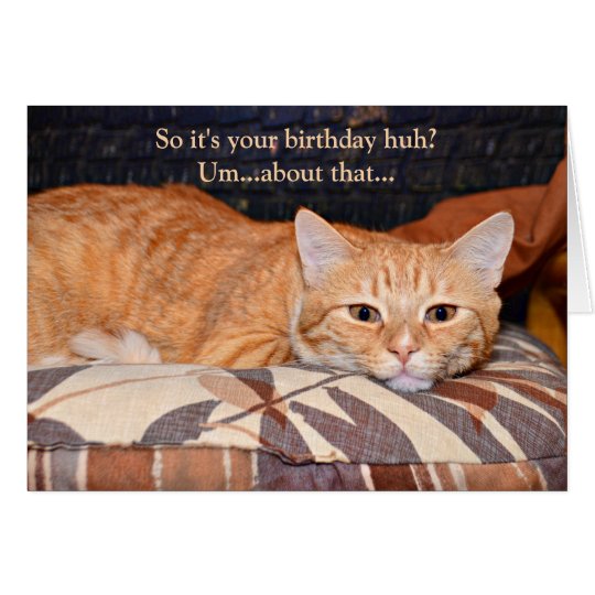 Anniversaire Orange Drole De Chat Zazzle Fr