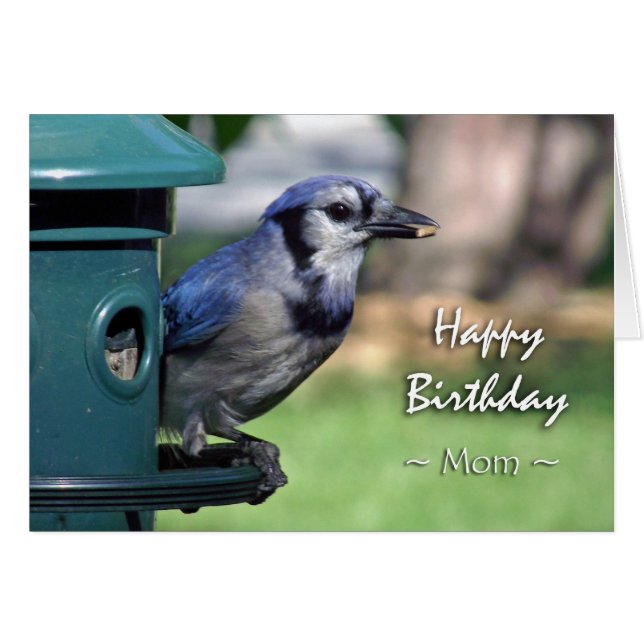 Anniversaire pour maman, Jay bleu chez Bird Feeder (Devant horizontal)