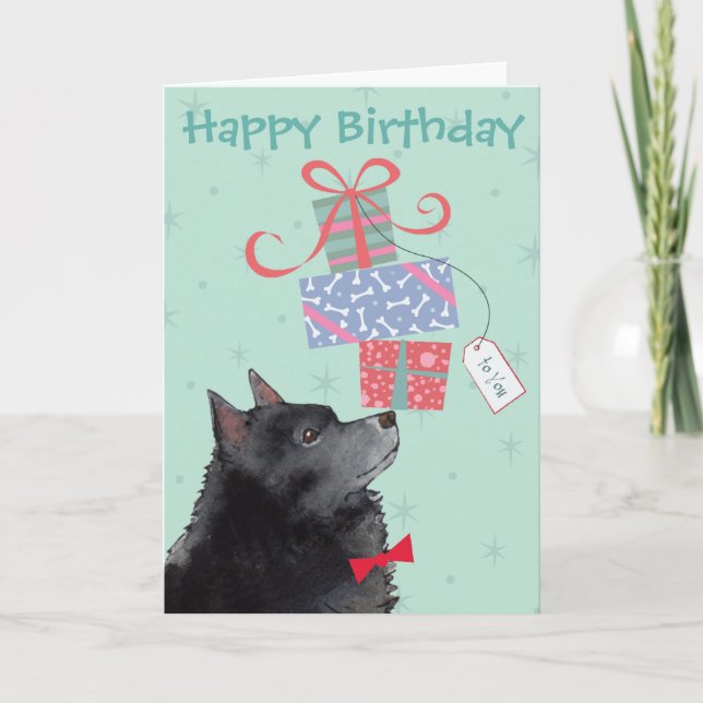 Anniversaire présente la carte Schipperke (Devant)
