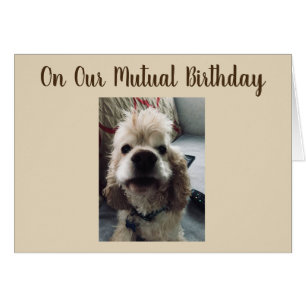 ANNIVERSAIRE VOUS SOUHAITE POUR NOTRE ANNIVERSAIRE