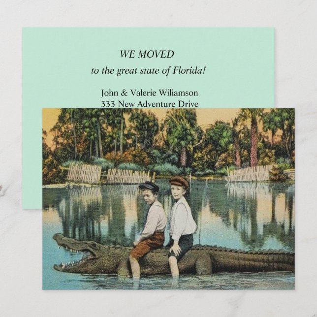 Annonce de déménagement d'alligator de Floride amu (Devant / Derrière)