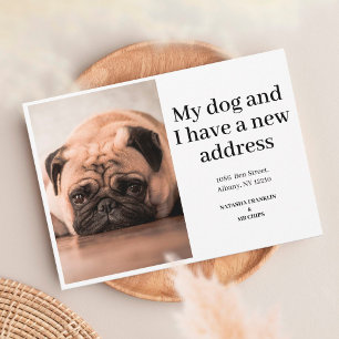 Annonce de nouvelle adresse avec photo de chien No