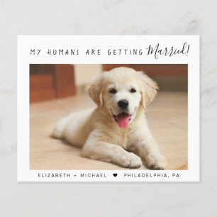 Annonce de participation au budget pour les photos