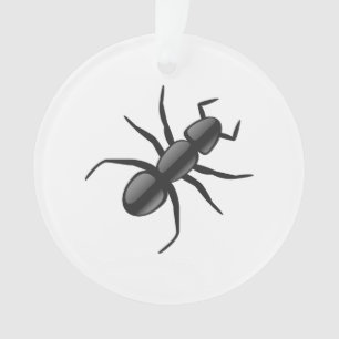 Ant