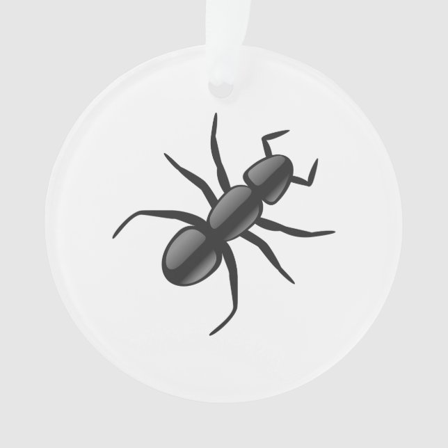 Ant (devant)