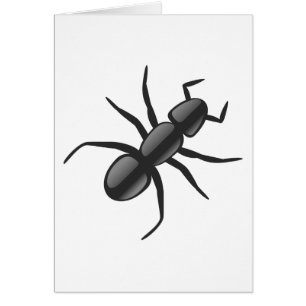 Ant