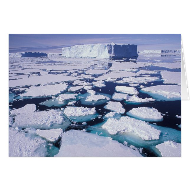 Antarctique, Écoulement de glace. (Devant horizontal)