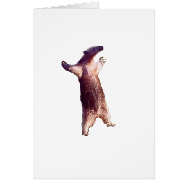 Anteater (Devant)