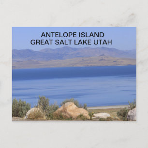 Antelope Island Great Salt Lake in Utah Carte post