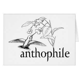Anthophile