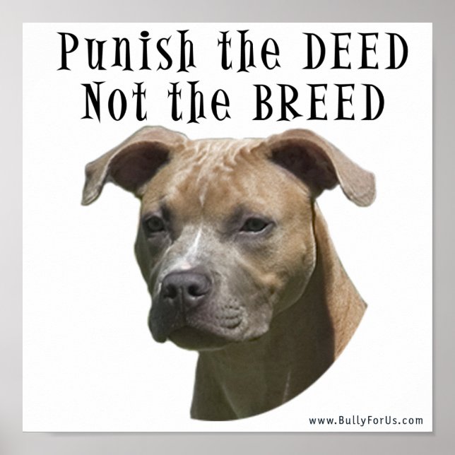 Anti-BSL Punish the Deed, not the Breed Poster (Devant)
