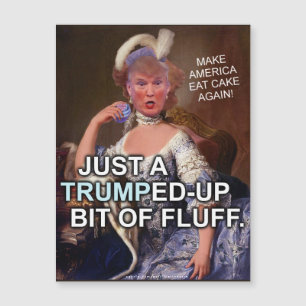 Anti élection 2016 de Donald Trump Marie