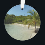 Antiguan Beach Beautiful Tropical Landscape<br><div class="desc">Cette scène tropicale d'une plage d'Antiguan montre les multiples types de flore qu'ils ont. D'un côté se trouve un cocotier, mais au loin, on aperçoit également de nombreux cactus. L'eau était si claire qu'on pouvait y voir nager de petits poissons argentés. Consultez notre magasin pour plus de photos de belles...</div>