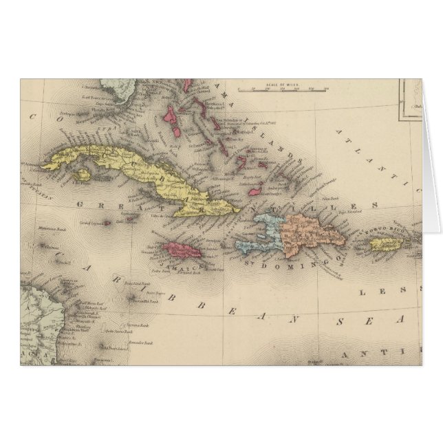 Antilles 12 (Devant horizontal)