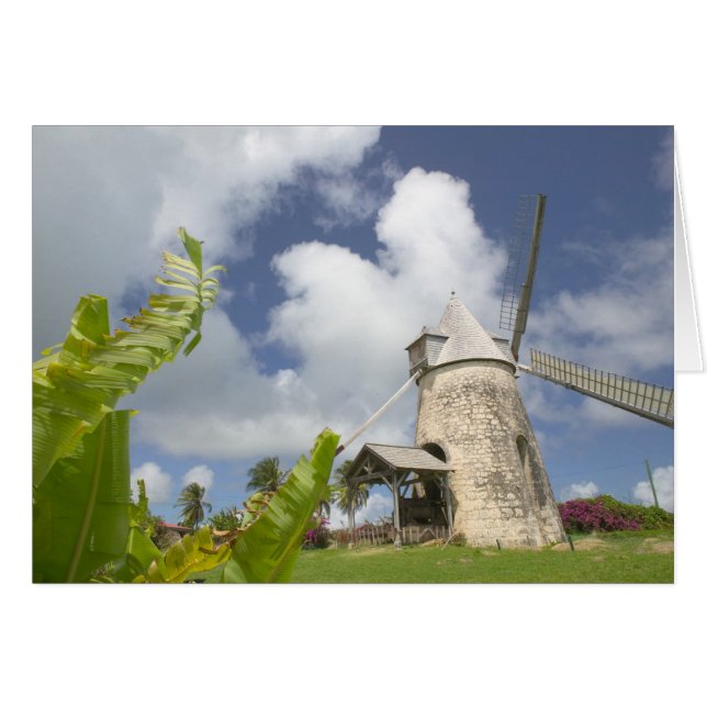 Antilles françaises, Guadaloupe, Marie, Galante (Devant horizontal)