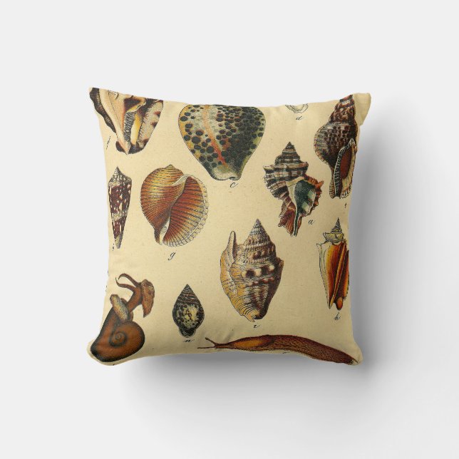 Antique Coussin marin de l'océan de Shell Vintage (Recto)
