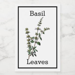 Antique Étiquette Basil