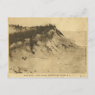 Antique Fire Island Carte postale New York
