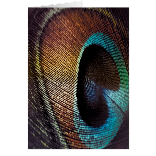 Antique Hues Peacock Feather Eye (Devant)