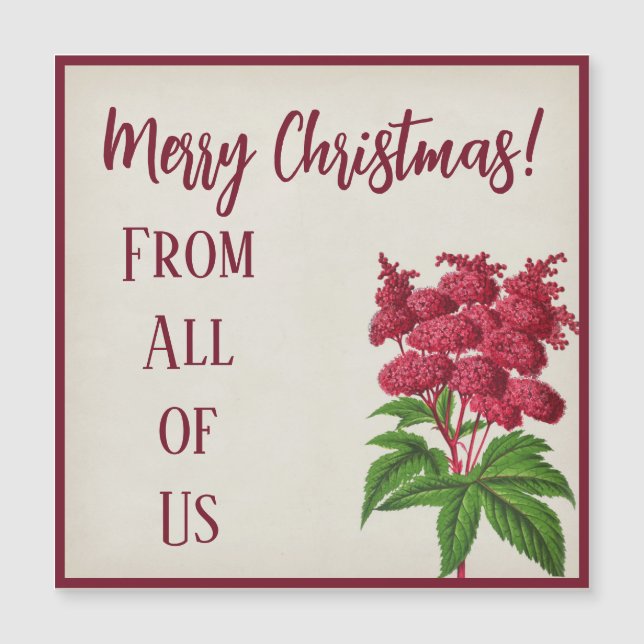 Antique Noël Spiraea Palmata (Devant)