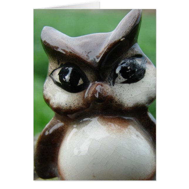 Antique Owl (Devant)