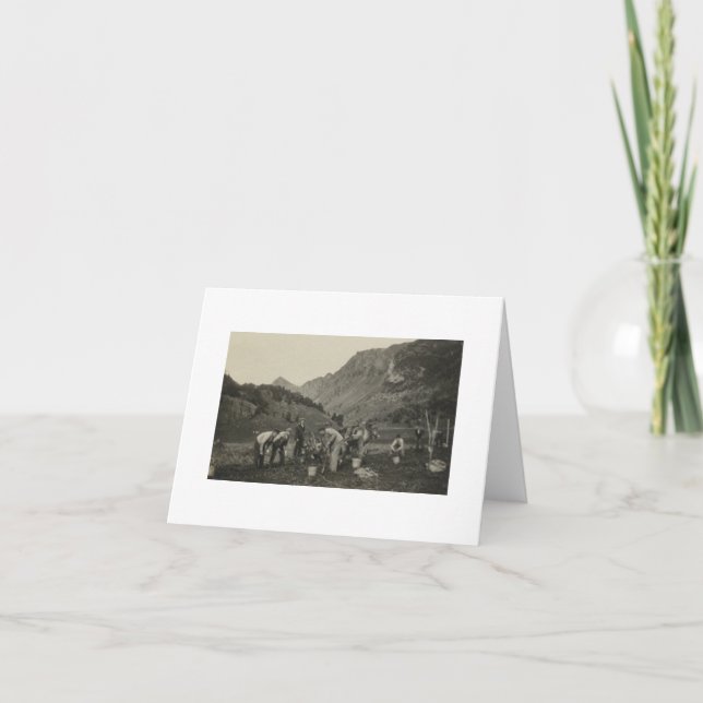 Antique Real Photo Norwegian Farmers Note Card (Devant)