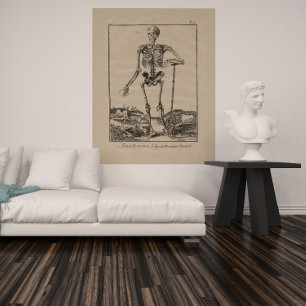 Antique Squelette humain Anatomie Poster