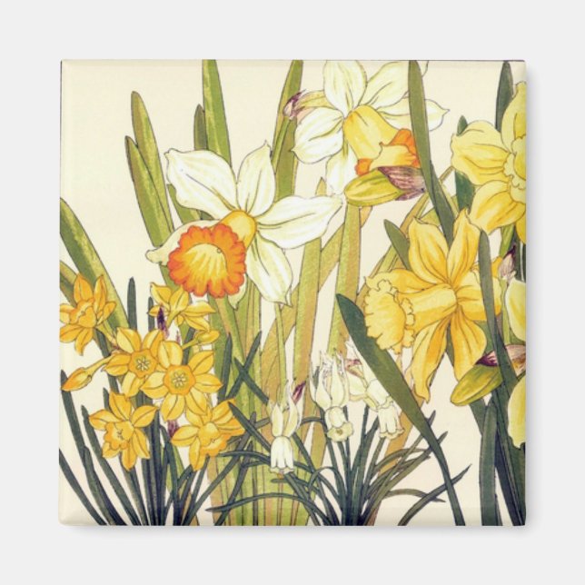 Antique Wood Block Print Daffodils Magnet (Devant)