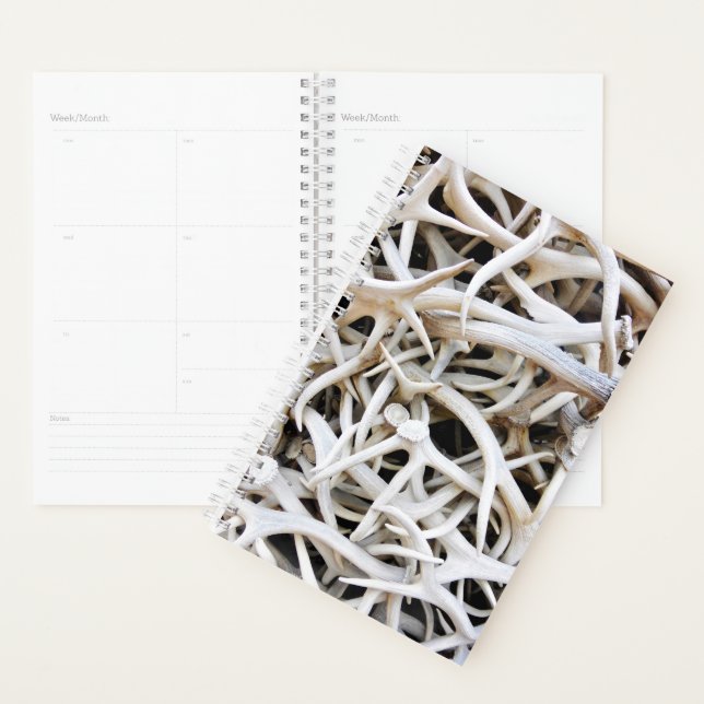 Antlers Elk De Sm Planner (Devant avec enveloppe)