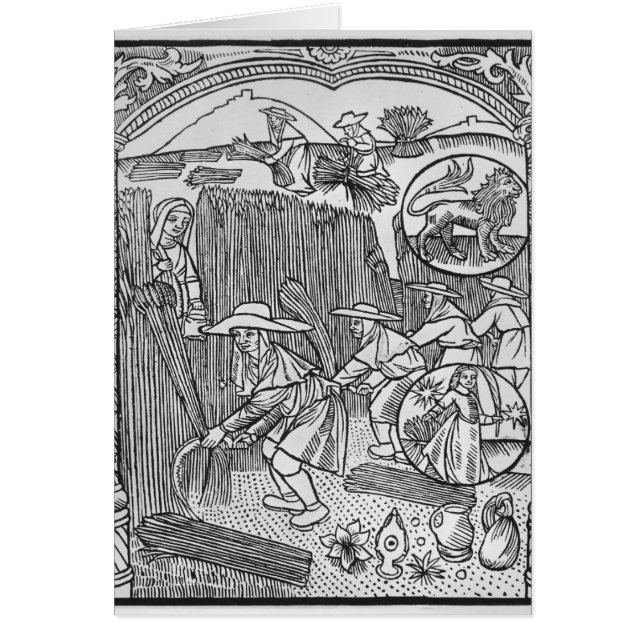 Août, moissonnant, Lion (Devant)